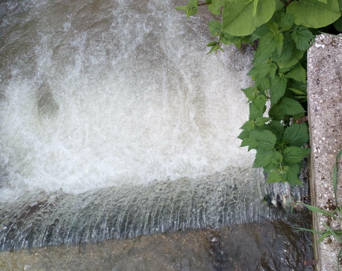 ויסוקו Cottage Forest Stream מראה חיצוני תמונה
